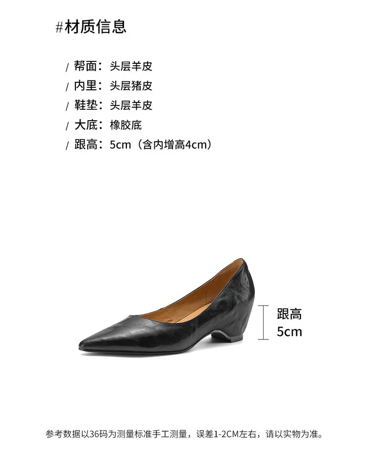 Early Spring Single Shoes Pointed Toe Wedge Heel Slip-on High Heel Fashion Women's Shoes 2-10m Style