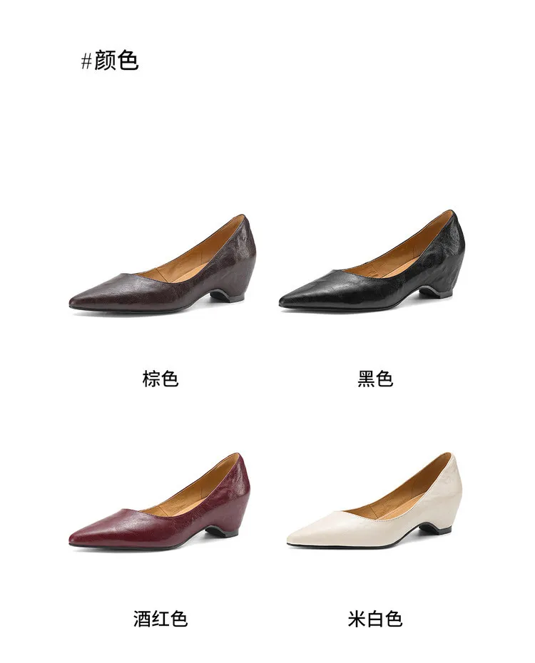 Early Spring Single Shoes Pointed Toe Wedge Heel Slip-on High Heel Fashion Women's Shoes 2-10m Style