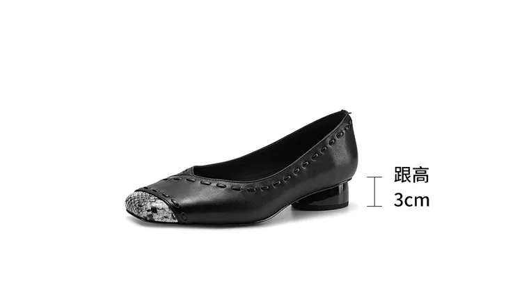 Early spring single shoes, square toe, low-cut, chunky heel, high heel, sheepskin fashion women's shoes, 3-6n