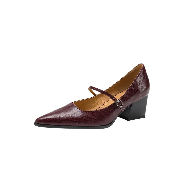 Spring/Autumn Retro Chunky Heel 5.5cm Lambskin Pointed Toe Mary Jane Shoes with Single Buckle Strap, Size 40