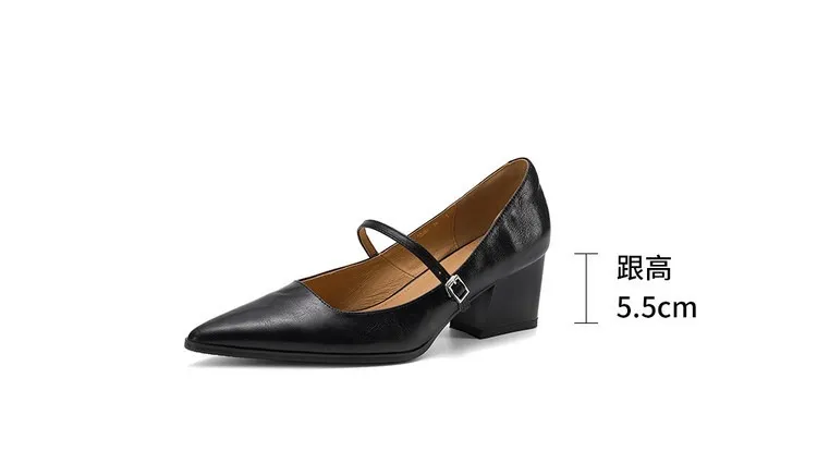 Spring/Autumn Retro Chunky Heel 5.5cm Lambskin Pointed Toe Mary Jane Shoes with Single Buckle Strap, Size 40