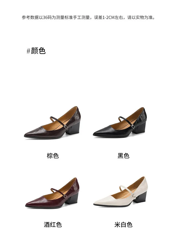 Spring/Autumn Retro Chunky Heel 5.5cm Lambskin Pointed Toe Mary Jane Shoes with Single Buckle Strap, Size 40