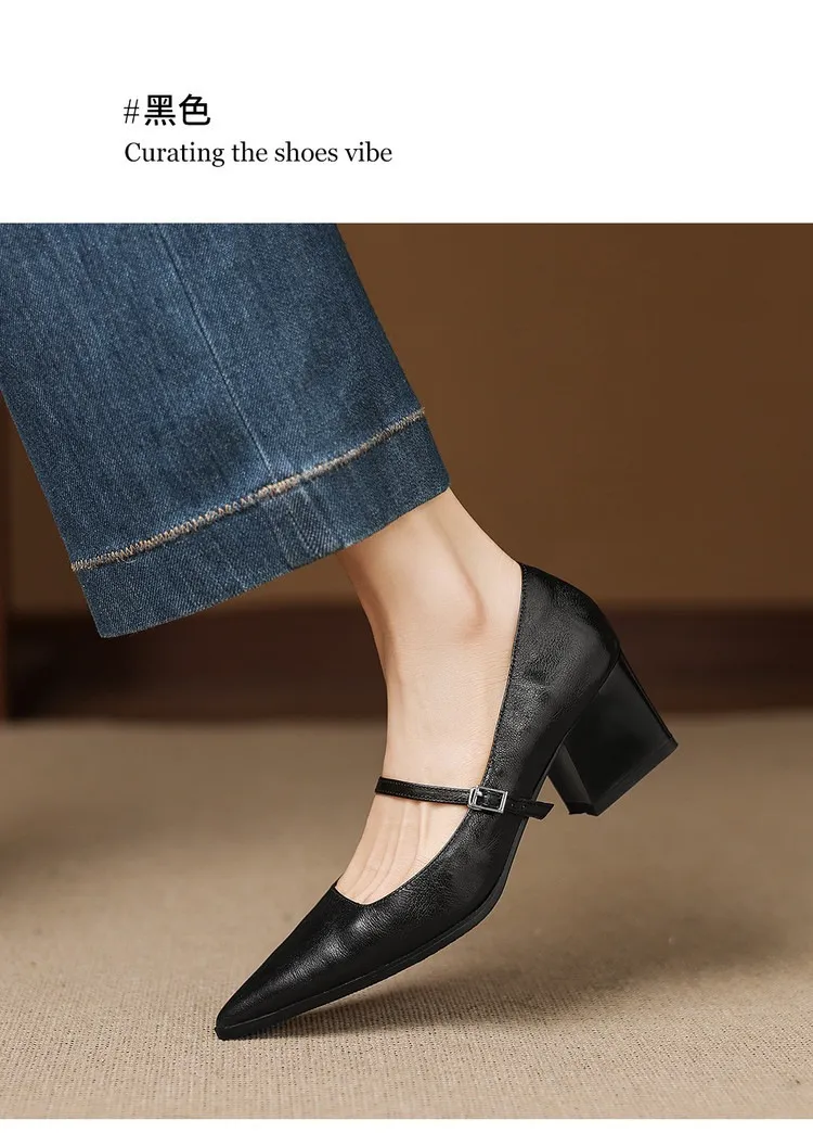 Spring/Autumn Retro Chunky Heel 5.5cm Lambskin Pointed Toe Mary Jane Shoes with Single Buckle Strap, Size 40