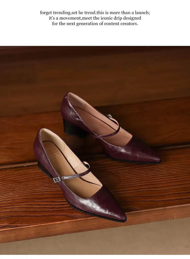 Spring/Autumn Retro Chunky Heel 5.5cm Lambskin Pointed Toe Mary Jane Shoes with Single Buckle Strap, Size 40
