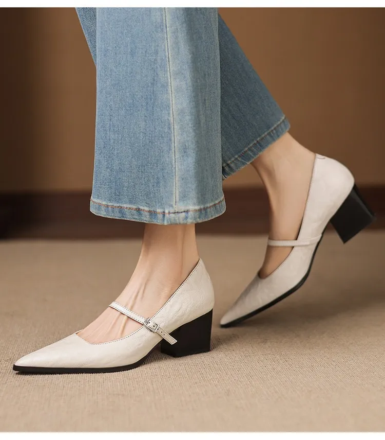 Spring/Autumn Retro Chunky Heel 5.5cm Lambskin Pointed Toe Mary Jane Shoes with Single Buckle Strap, Size 40