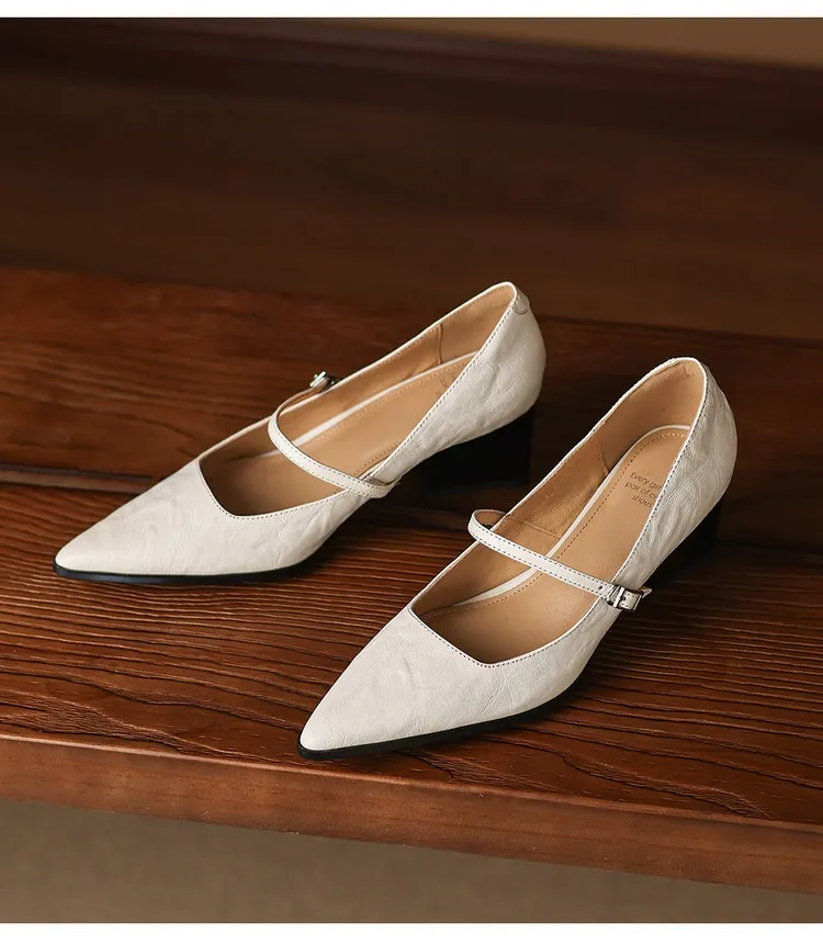 Spring/Autumn Retro Chunky Heel 5.5cm Lambskin Pointed Toe Mary Jane Shoes with Single Buckle Strap, Size 40