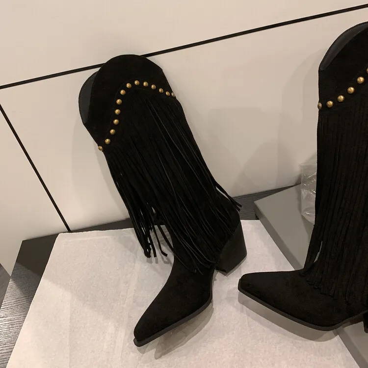 Women's tassel high boots, autumn and winter pointed toe chunky heel design, suede V-mouth Western style boots, slimming long boots (8-14p)