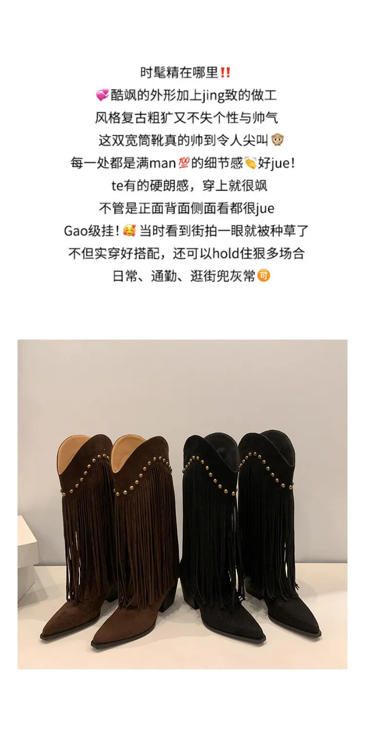 Women's tassel high boots, autumn and winter pointed toe chunky heel design, suede V-mouth Western style boots, slimming long boots (8-14p)