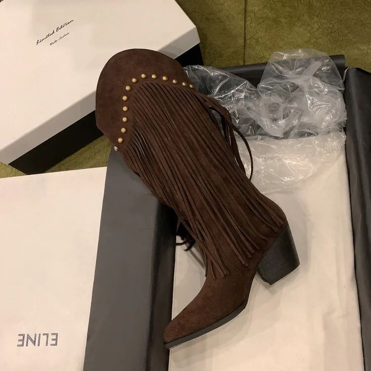 Women's tassel high boots, autumn and winter pointed toe chunky heel design, suede V-mouth Western style boots, slimming long boots (8-14p)