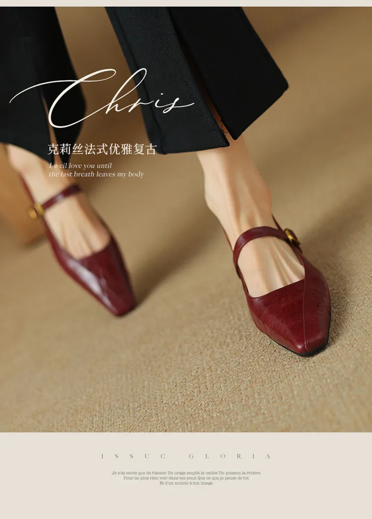 French retro sheepskin Mary Jane shoes, one-strap square toe, low-cut chunky heel, fashion style.
