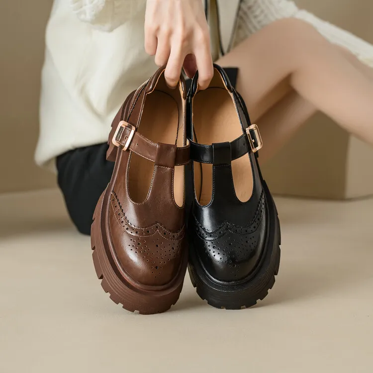 Spring Fashion Round Toe Platform Mary Jane Shoes for Women, Retro Carved T-Strap Chunky Heel Loafers