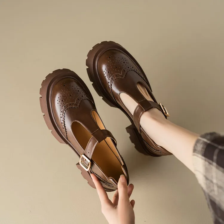 Spring Fashion Round Toe Platform Mary Jane Shoes for Women, Retro Carved T-Strap Chunky Heel Loafers
