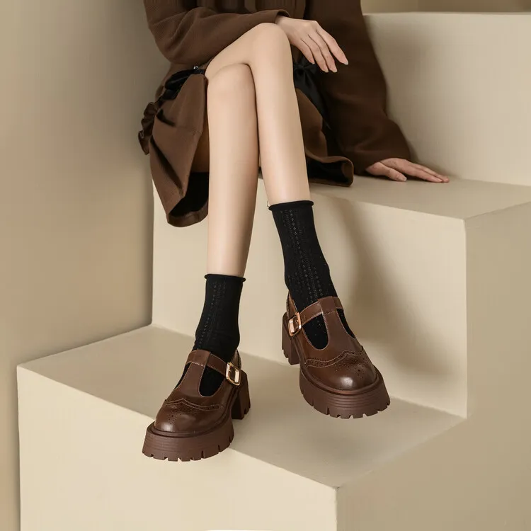 Spring Fashion Round Toe Platform Mary Jane Shoes for Women, Retro Carved T-Strap Chunky Heel Loafers
