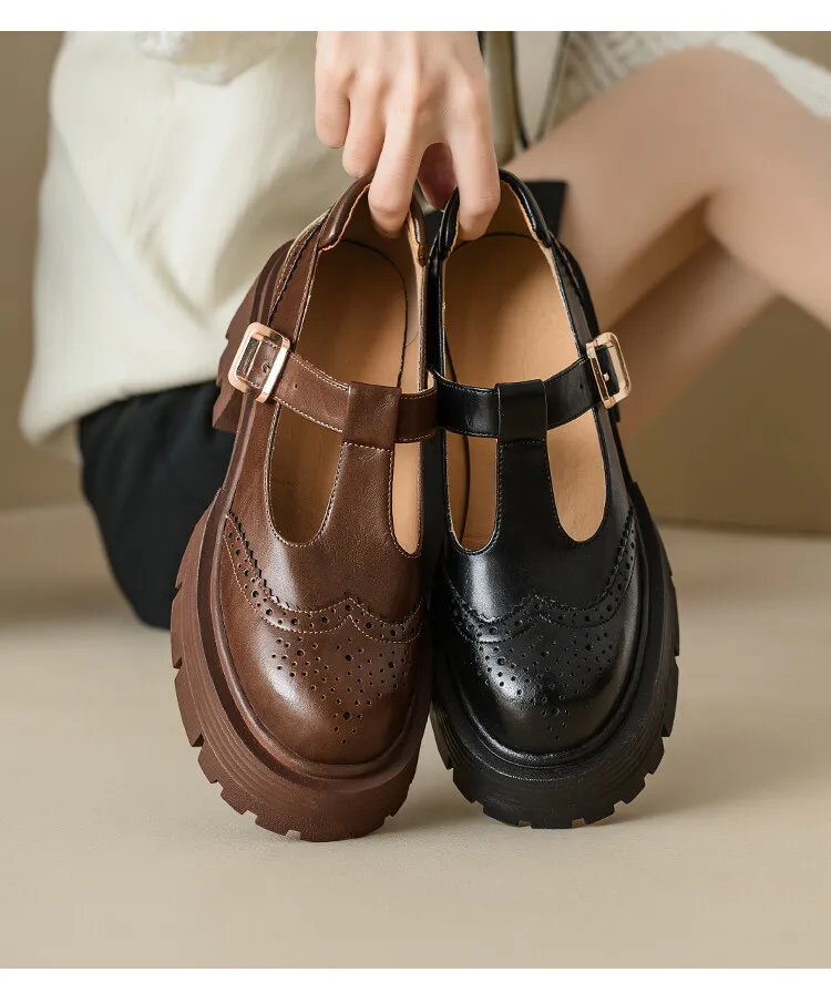 Spring Fashion Round Toe Platform Mary Jane Shoes for Women, Retro Carved T-Strap Chunky Heel Loafers