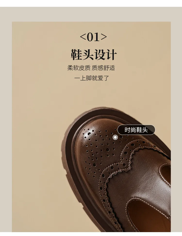 Spring Fashion Round Toe Platform Mary Jane Shoes for Women, Retro Carved T-Strap Chunky Heel Loafers