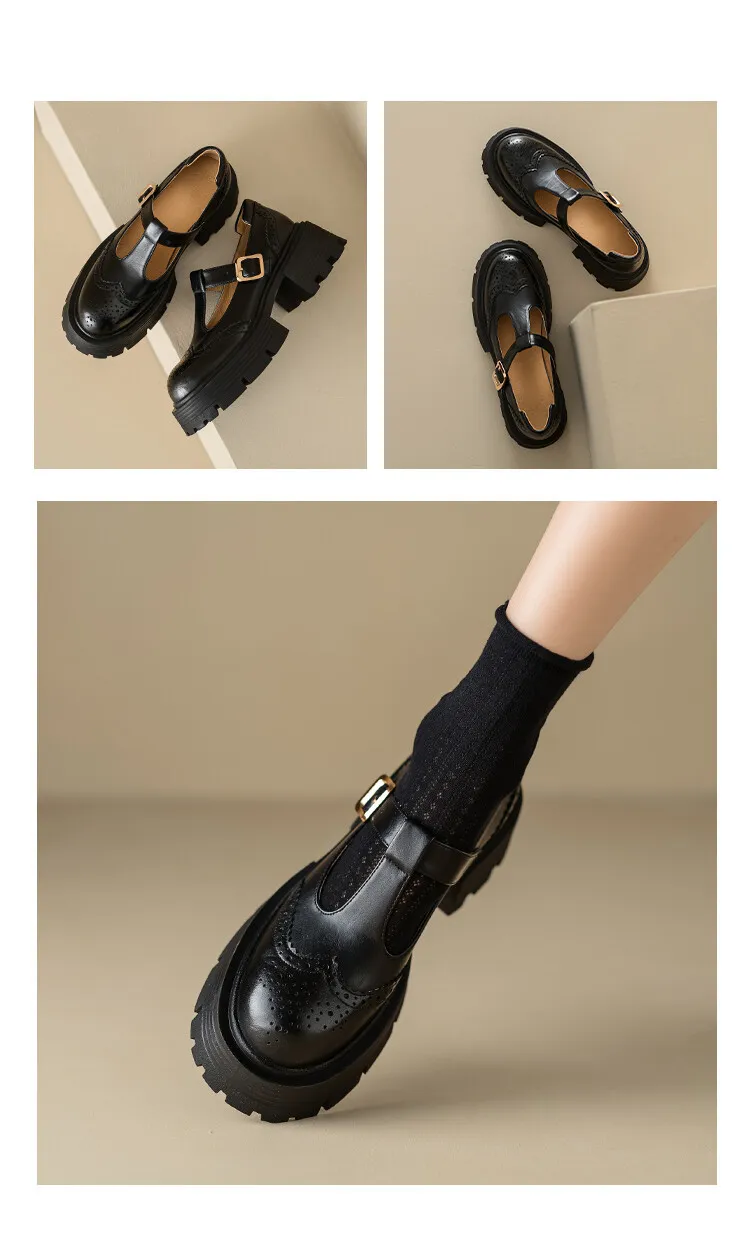 Spring Fashion Round Toe Platform Mary Jane Shoes for Women, Retro Carved T-Strap Chunky Heel Loafers