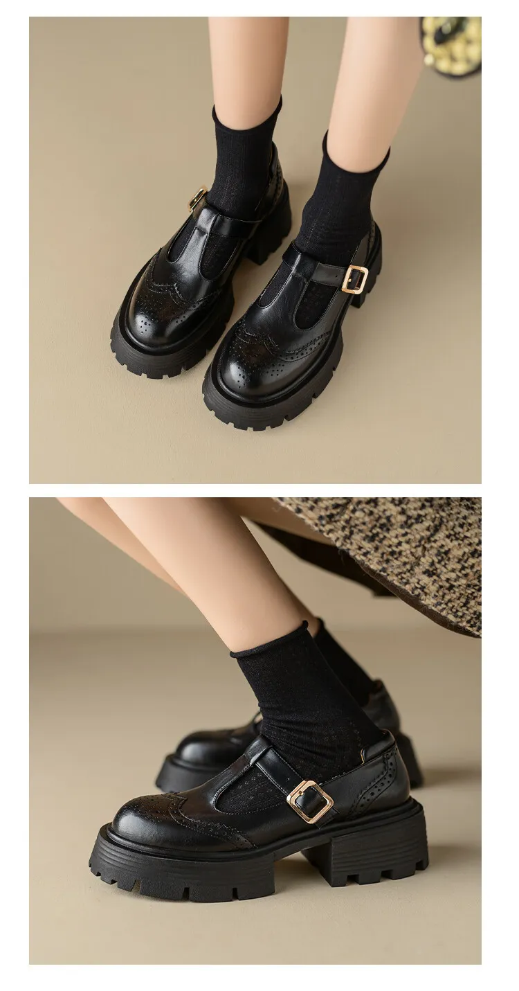 Spring Fashion Round Toe Platform Mary Jane Shoes for Women, Retro Carved T-Strap Chunky Heel Loafers