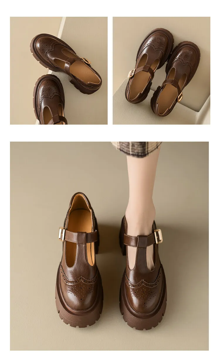 Spring Fashion Round Toe Platform Mary Jane Shoes for Women, Retro Carved T-Strap Chunky Heel Loafers