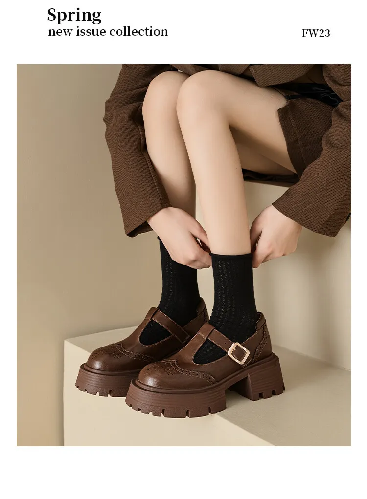 Spring Fashion Round Toe Platform Mary Jane Shoes for Women, Retro Carved T-Strap Chunky Heel Loafers