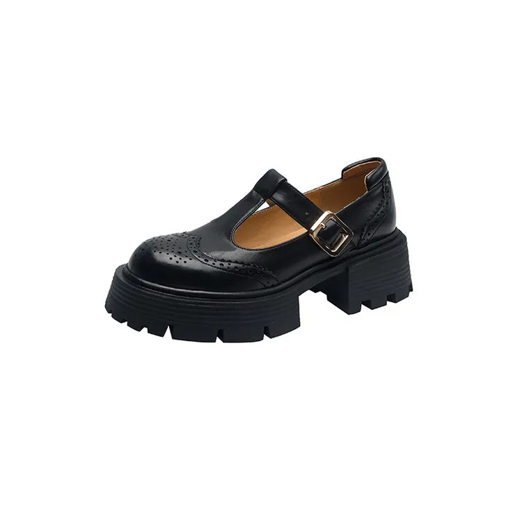 Spring Fashion Round Toe Platform Mary Jane Shoes for Women, Retro Carved T-Strap Chunky Heel Loafers