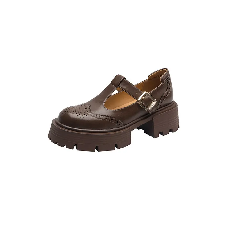 Spring Fashion Round Toe Platform Mary Jane Shoes for Women, Retro Carved T-Strap Chunky Heel Loafers