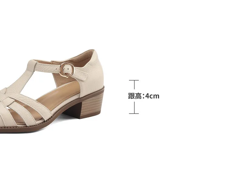 Spring/Summer Retro Sheepskin Closed-Toe Roman Sandals with Mid-Heel, T-Strap Strap, Pointed Toe, Chunky Heel, Closed-Heel Women's Shoes