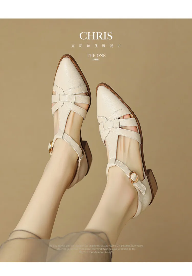 Spring/Summer Retro Sheepskin Closed-Toe Roman Sandals with Mid-Heel, T-Strap Strap, Pointed Toe, Chunky Heel, Closed-Heel Women's Shoes