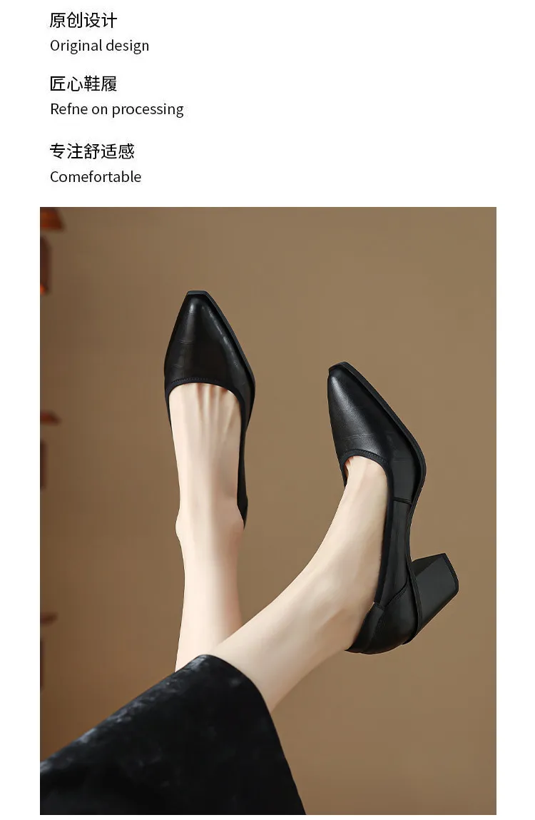 Spring pointed-toe chunky heel slip-on women's shoes in black and brown leather