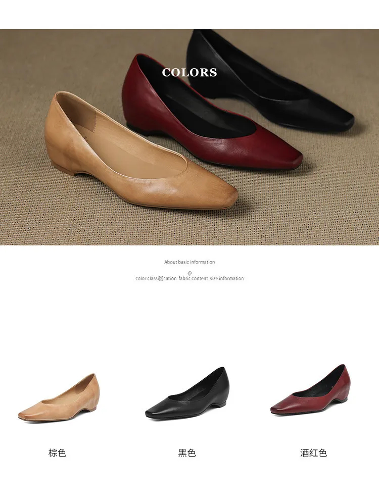 Spring and Autumn Single Shoes with Square Toe, Chunky Heel, High Heel, and Slip-on Style for Women