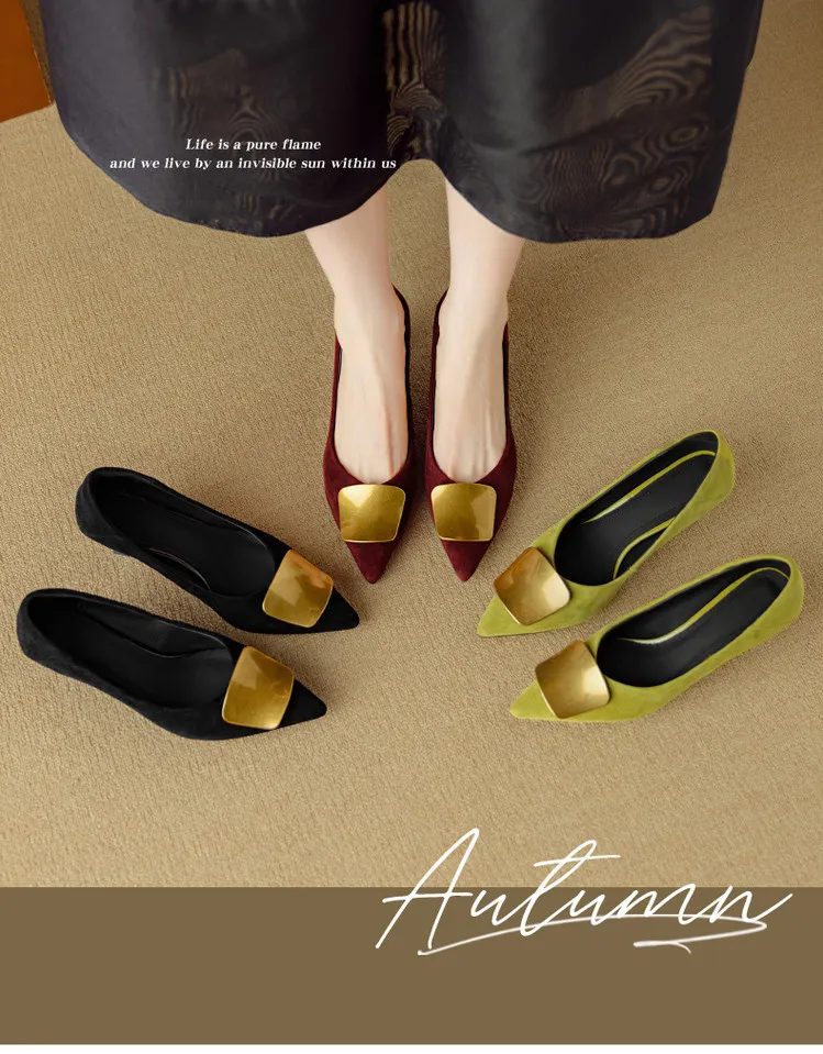 Autumn pointed-toe low-cut single shoes with stiletto heels, French retro style, metal buckle women's shoes, 9-3L