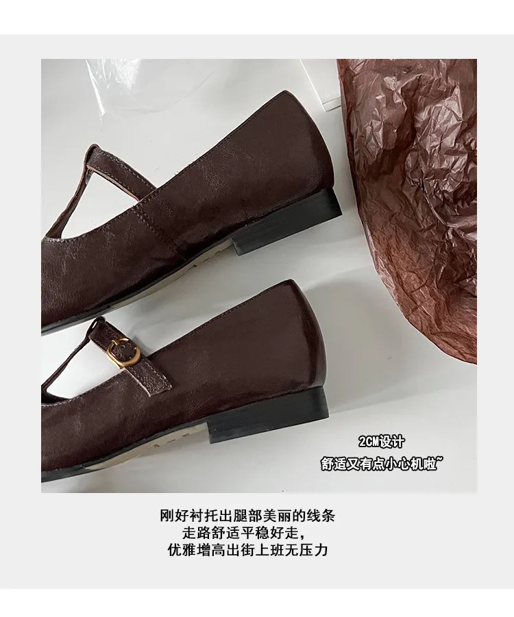 Retro burgundy spring and autumn T-strap flat Mary Jane shoes, sheepskin pointed toe low heel single shoes for women