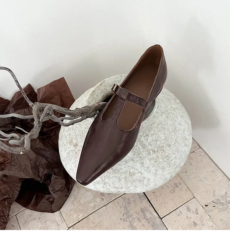 Retro burgundy spring and autumn T-strap flat Mary Jane shoes, sheepskin pointed toe low heel single shoes for women